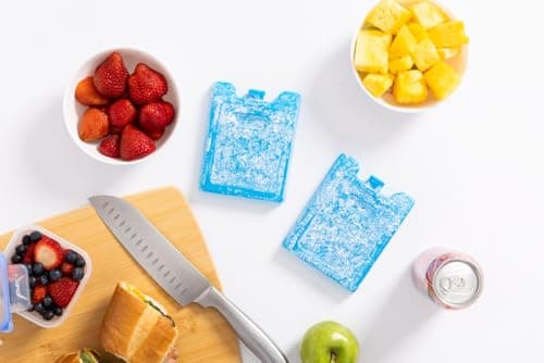 Igloo Maxcold Ice Block,4 Pieces — view 11