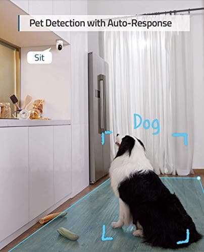 eufy Security Indoor Cam E220, 2K, Pan & Tilt, Indoor Security Camera, Wi-Fi Plug-in Camera, Human & Pet AI, Voice Assistant Compatibility, Night Vision, Motion Tracking, HomeBase not Compatible — view 3