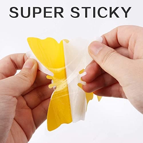 Fruit Fly Traps Fungus Gnat Traps Yellow Sticky Bug Traps 36 Pack No Harm and Odorless for Indoor Outdoor Use Protect The Plant — view 3