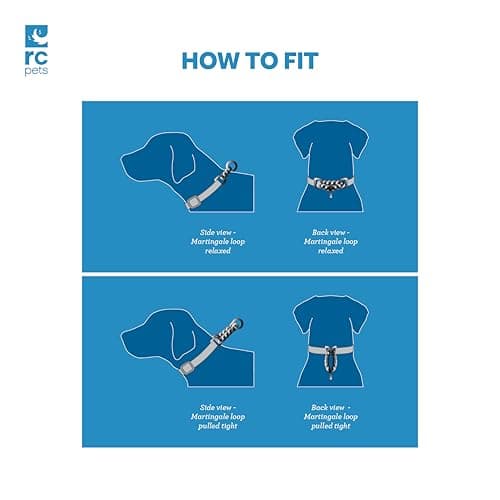 RC Pets 3/4" Martingale Training Collar, Small, Bones