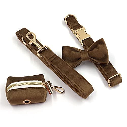 PETDURO Custom Dog Collar Personalized with Name Engraved Gold Metal Buckle for Large Medium Small Boy and Girl Dogs - Dog Leash and Bow Tie Set Available - Soft Comfy Velvet (Brown G, L) — view 3