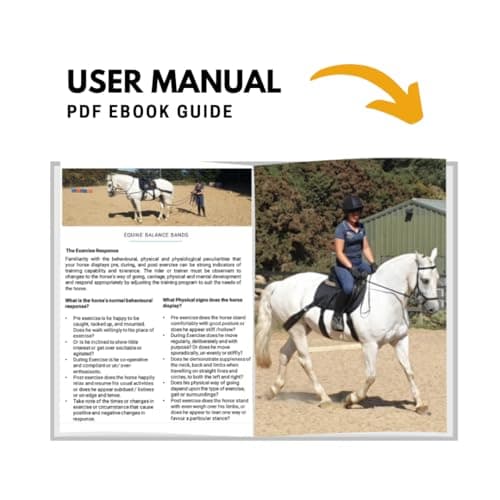 Equine Balance Band System (Western) — view 5
