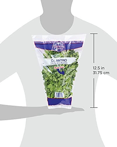 Cilantro, 1 Each — view 3