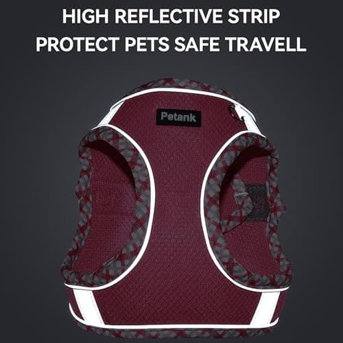 Petank Dog Harness for Small Medium Dogs No Pull, Puppy Harness and Leash Set for Walking, Running, Training, Small Dog Harness, Medium Dog Harness (Rose Red, XXS) — view 5