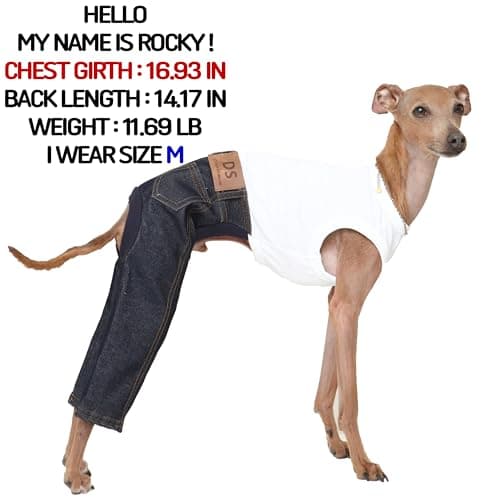 D Doggy Star Italian Greyhound Clothes Sleeveless Jeans Onesie Outfit Whippet for Dog Coat (M,Blue Jean)