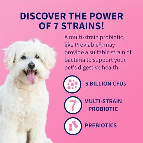 Nutramax Proviable Probiotics for Dogs and Cats, Daily Digestive Health Supplement with Multiple Strains of Bacteria, Cat and Dog Probiotics Plus Prebiotics, 30 Capsules — view 4