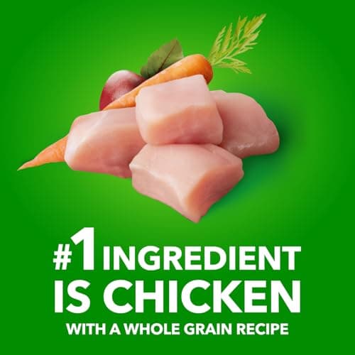 IAMS Proactive Health Minichunks Dry Dog Food – Crunchy Kibble for Adult Dogs – Chicken & Whole Grain Recipe – 1.50KG (3.3LB) Bag — view 2