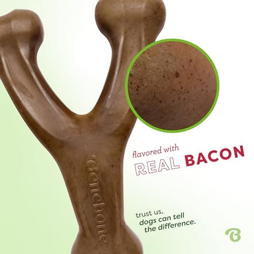 Benebone Wishbone Durable Dog Chew Toy for Aggressive Chewers, Real Bacon, Made in USA, Medium