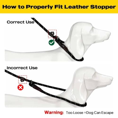 Fida Durable Slip Lead Dog Leash, 6 FT x 1/2" Heavy Duty Dog Loop Leashes, Comfortable Strong Rope Slip Leash for Large Medium Dogs, No Pull Pet Training Lead with Highly Reflective(1/2", Black) — view 7