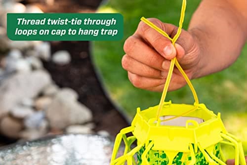 RESCUE! VisiLure® TrapStik for Wasps, Mud Daubers, Carpenter Bees – 2 Pack — view 7