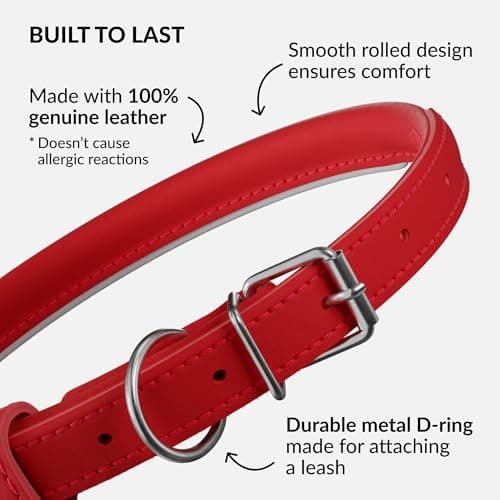 CollarDirect Rolled Leather Dog Collar, Soft Padded Round Puppy Collar, Handmade Genuine Leather Collar Dog Small Large Cat Collars (Red Smooth, 23-28 cm) — view 2