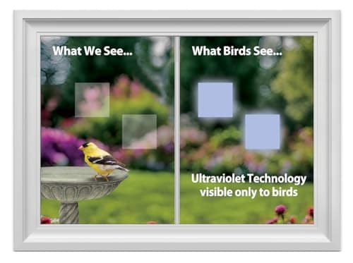 WindowAlert Classic Square Anti-Collision Decal - UV-Reflective Window Decal to Protect Wild Birds from Glass Collisions - Made in The USA