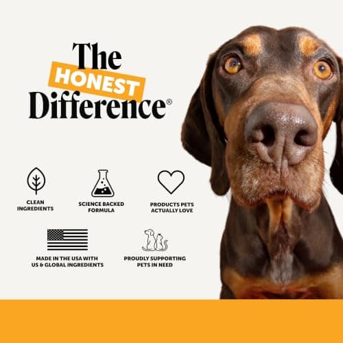 Dog Allergy Relief Immunity Chews - Paw Licking, Itching & Seasonal Allergies - with Colostrum, Probiotics, Turmeric & Salmon Oil - Vet Recommended Anti-Itch Supplement for Dogs (Salmon, 90 Ct) — view 7