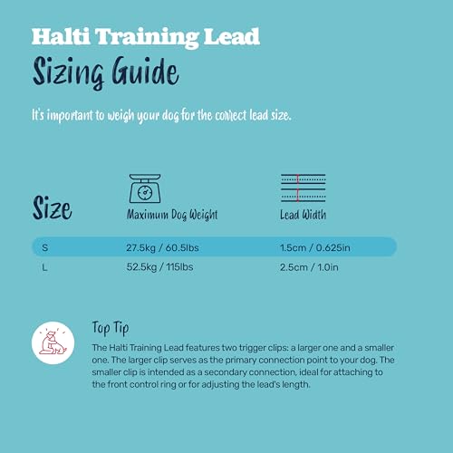 Halti Training Leash - Multifunctional Double-Ended Dog Leash, Ideal for Anti-Pulling Dog Training. Lightweight & Durable. Suitable for Medium to Large Dogs & Puppies (Size Large, Forest Green, 2m) — view 4