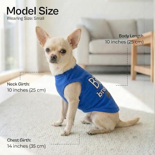 Parisian Pet Dog T-Shirt with Embroidered ' Big Brother ' Words - 100% Cotton, Big Brother Dog Shirt - Sleeveless Pet Vest - Machine Washable Blue Dog Shirts for Small Dogs XXS — view 2