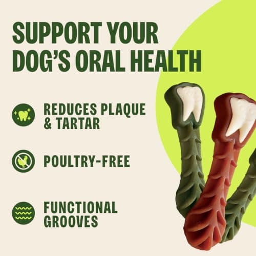 Wellness WHIMZEES Brushzees Natural Dog Dental Treat, VOHC Accepted Chews, Freshens Breath, Large Size, 4.2 oz Bag, 2 Count — view 4