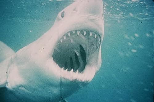 Jaws [DVD] (Bilingual) — view 4