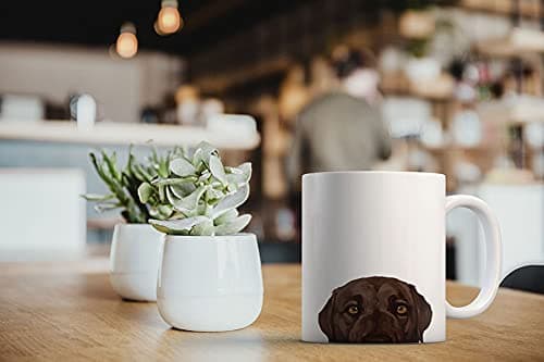 MUGBREW Chocolate Brown Labrador Retriever Dog Ceramic Coffee Mug Tea Cup, 11 OZ — view 5
