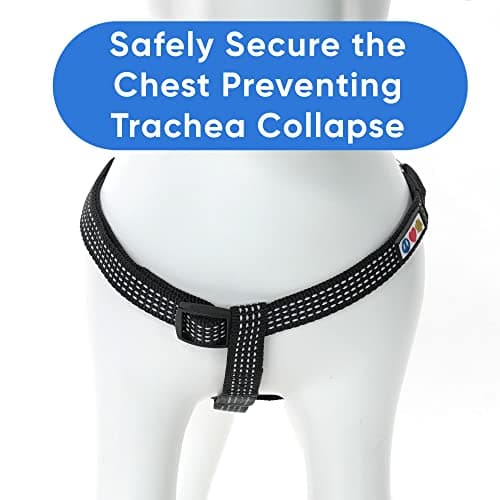Pawtitas Reflective Step-in Dog Harness – Adjustable No-Pull Vest for Puppies to Seniors, Safe & Comfortable, S Black — view 7