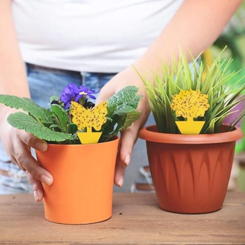 Fruit Fly Traps Fungus Gnat Traps Yellow Sticky Bug Traps 40 Pack No Harm and Odorless for Indoor Outdoor Use Protect The Plant — view 2