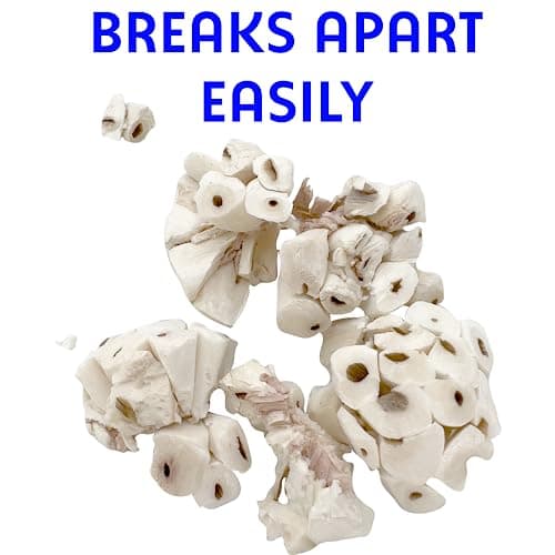 5122 Mini Sola Balls Pk6 - Small Size Natural Chewable Foot Toys, Air Dried Lightweight Foraging Sola Wood Balls, Easy to Shred and Chew, Excellent for Small Pets Budgie Cockatiel Lovebird Parrotlet — view 3