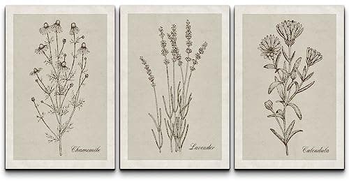 NWT Canvas Print Wall Art Set Retro Vintage Antique Garden Wildflowers Nature Wilderness Illustrations Modern Art Decorative Minimalist Floral Botanical Flowers for Bedroom - 24"x36" x 3
