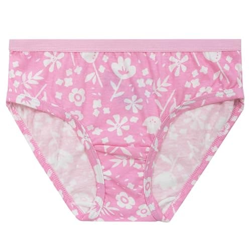 Fruit of the Loom Girls 100% Cotton Assorted Briefs, 9 Pack
