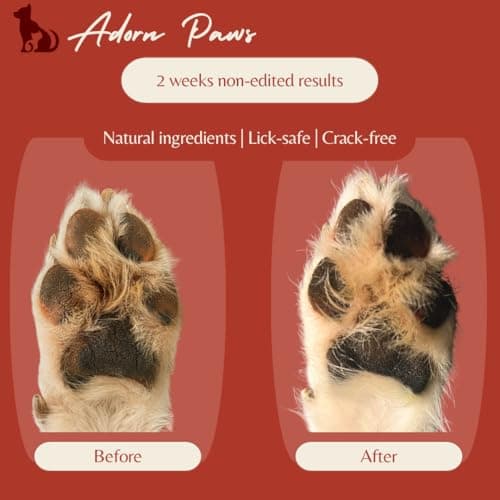 Natural Dog Paw & Nose Balm for Soft Paws | Paw Wax Lick-Safe & Lab-Tested | Protection for Dry, Cracked Paws and Nose | 2026 Formula | 1.76oz | AdornPaws — view 5