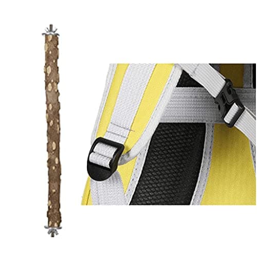 Pet Parrot Carrier Bird Travel Bag with Standing Perch, Space Capsule Transparent Backpack Breathable 360° Sightseeing (Black) — view 3