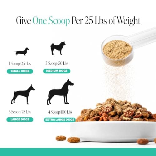 Dog Breath Freshener Dental Powder - Teeth Cleaning Plaque Off + Tartar Remover for Dogs - Care Supplement Food Topper with Kelp, HMP + Postbiotics for Healthy Gums - Mint Flavor (30 Servings) — view 8