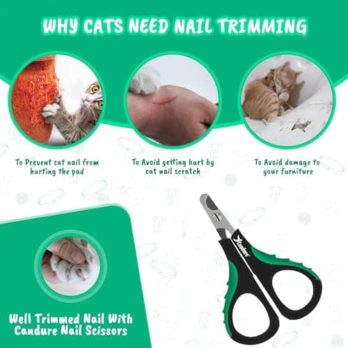 Candure Cat Nail Clippers Stainless Steel Cat Claw Trimmers for Rabbits,Guinea Pigs, Birds, Puppies, Kittens and Small Animals- Pet Nail Clippers for Professional and Home Use (Black) — view 2