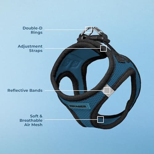 Best Pet Supplies Voyager All Weather No Pull Step-in Mesh Dog Harness with Padded Vest, Best Pet Supplies, Medium, Blue Base — view 3