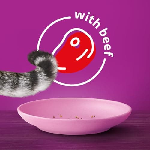 WHISKAS Adult Dry Cat Food - Beef Selections Flavour, 9.1kg Bag — view 4