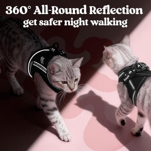 rabbitgoo Cat Harness and Leash Set, Step-in Soft Vest, Black — view 4