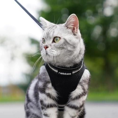 rabbitgoo Cat Harness and Leash Set, Step-in Soft Vest, Black — view 8