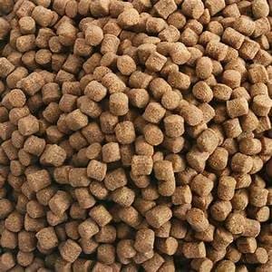 Hikari 17.6-Ounce Sinking Wheat Germ Pellets for Pets, Medium — view 3