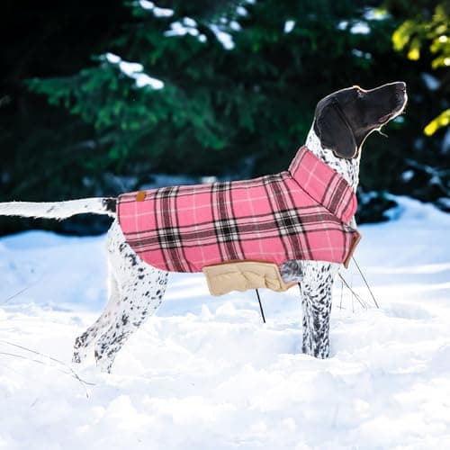 Kuoser Waterproof Dog Coat, Reversible Dog Jacket for Large Dogs, Adjustable Durable Doggie Winter Coat for Groowing Puppies Warm Puppy Cold Weather Apparel, Purple XS — view 5