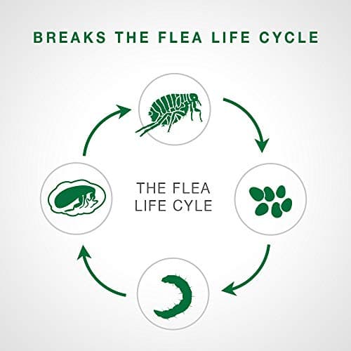 Advantage II Flea Treatment for Small Cats weighing between 2.3 kg to 4 kg (5 lbs. to 9 lbs.)-2 doses — view 3