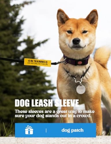 in Training Dog Leash Sleeve - Funny Yellow Alert Wrap with Hanging ID Patch | Ask Before Petting Service Dog Accessory, Perfect Pet Birthday Gift for Dog Owners
