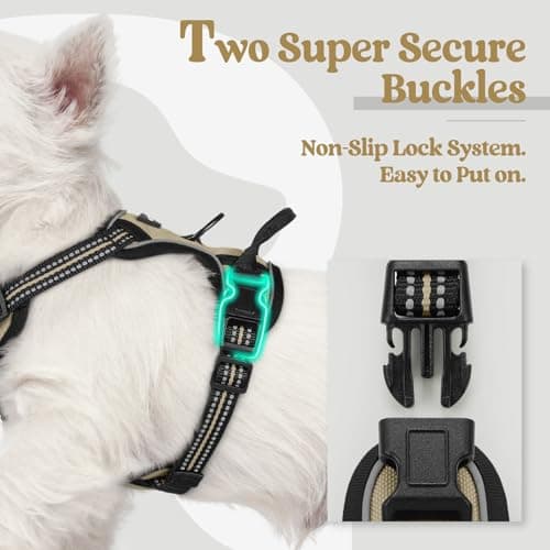 rabbitgoo Dog Harness No Pull with 2 Leash Clips, Adjustable Soft Padded, Reflective Oxford No Choke Pet Vest with Easy Control Handle for Puppy, Beige, XS — view 2