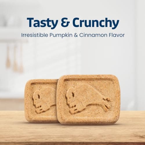 Blue Buffalo Health Bars Pumpkin & Cinnamon Crunchy Dog Biscuits, Oven-Baked with Pumpkin & Natural Ingredients, Healthy Dog Treats with No Artificial Flavors or Preservatives, 16 oz. — view 7