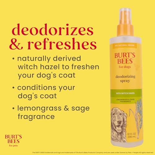 BURT'S BEES FOR PETS Deodorizing Spray for Dogs with Witch Hazel, Lemongrass & Sage, 99% Natural Origin Formula, Gentle Waterless Dry Dog Shampoo for All Dogs, 10 Fl Oz — view 3