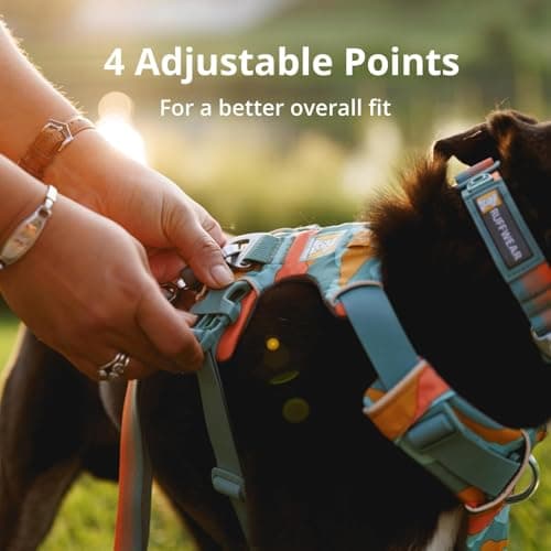 Ruffwear, Front Range Dog Harness, Reflective Soft Padded Everyday Harness with Dual Leash Clips, Adjustable and Lightweight Fit for Training or Walking for All Dogs, Coastal Mountains, Medium — view 6