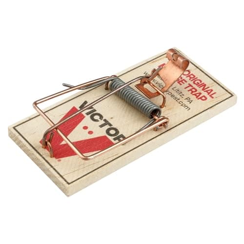 Victor Metal Pedal Sustainably Sourced FSC Wood Snap Mouse Trap - 4 Wooden Traps - M156 - Snap Traps for Mice - Reusable or Disposable Mouse Trap