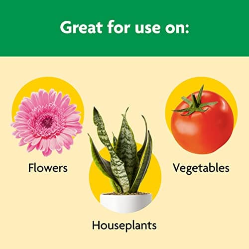 Miracle-Gro Shake 'N Feed All Purpose Plant Food, 4.5 lb. — view 4