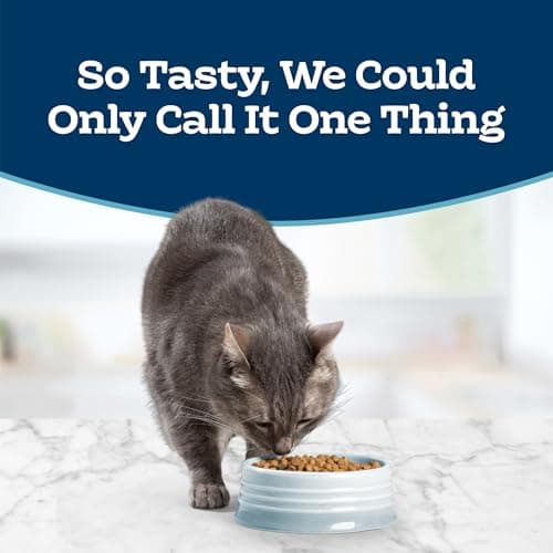 Blue Buffalo Tastefuls Chicken & Brown Rice Recipe Dry Indoor Cat Food for Adult Cats, Real Chicken First, Deliciously Healthy Natural Cat Food, Supports Digestive Care and Coat Health, 3 lbs.