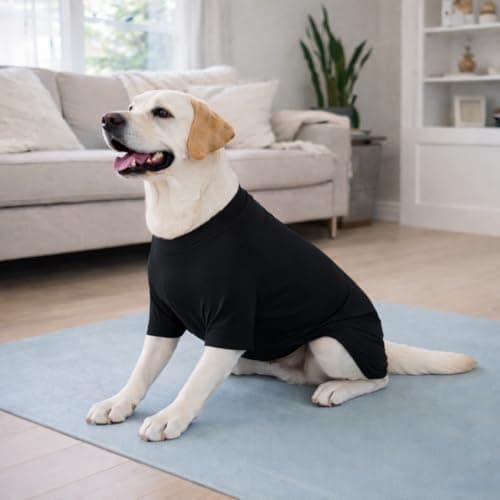 ADKLHX Dog Full Bodysuit – Stretchy Yoga Fabric 4-Leg Dog Pajamas, Breathable & Lightweight Dog Onesie for Indoor & Outdoor, Shedding Control & Travel Wear Black M — view 5