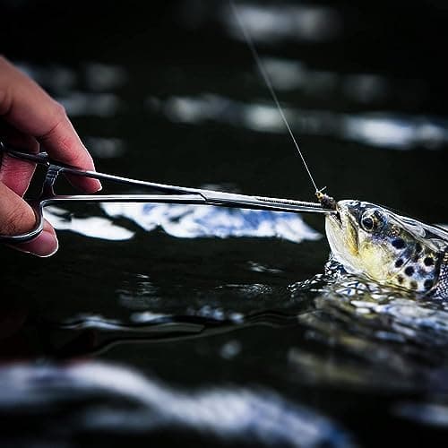 MJW Professional Straight Hemostat Fishing Forceps of Stainless Steel Used as Jewelry, Fly Fishing Forceps and Unhooking Fish Pliers – Pet, Dog Ear Hair Grooming Tweezers — view 5