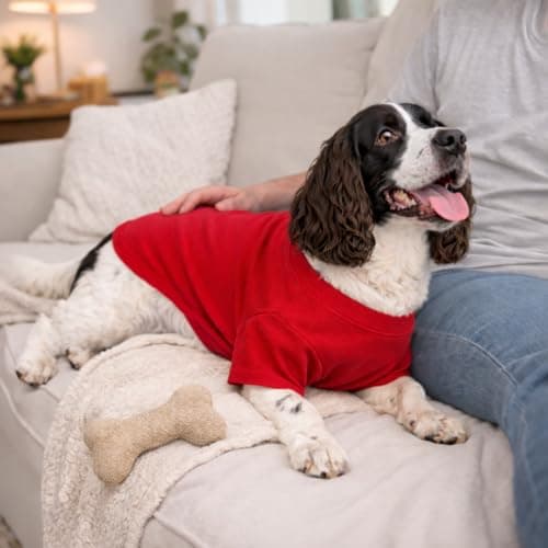 Lovelonglong Pet Clothing Dog Costumes Basic Blank T-Shirt Tee Shirts for Small Dogs Red S — view 8
