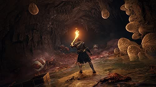 Elden Ring - PlayStation 5 — view 10